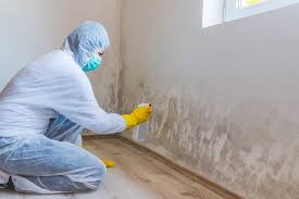 Best Mold Documentation for Insurance Claims  in Midway, KY